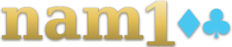 nam100 logo